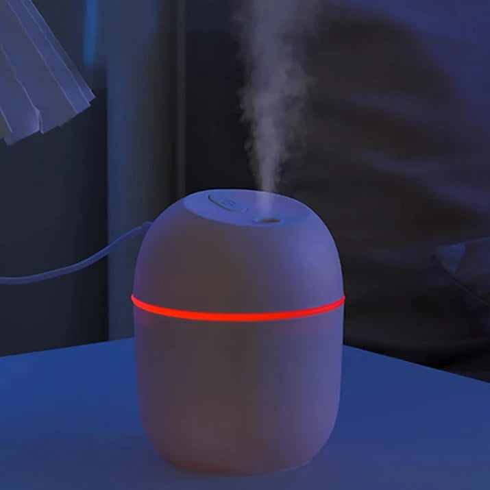 Portable Mini 220ML Air Humidifier USB